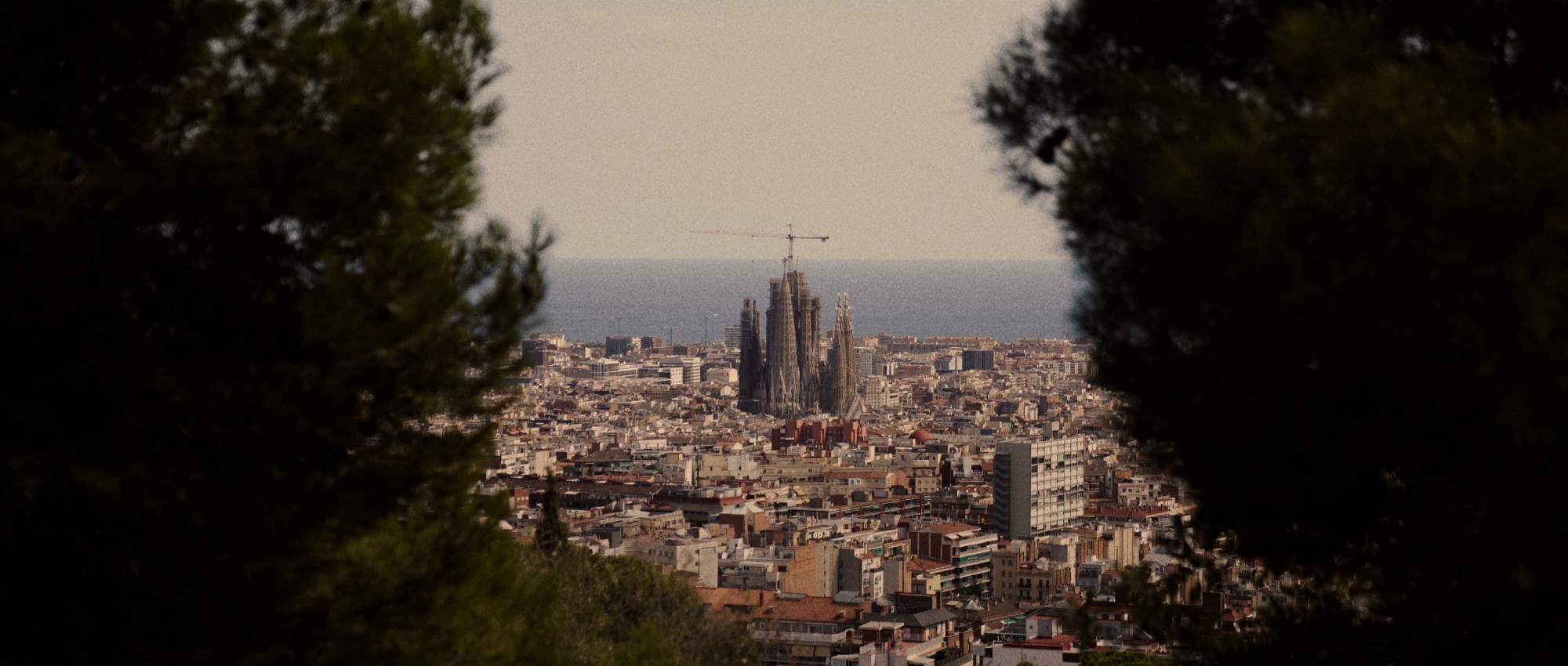 Documentary photo
